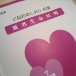 独身に必要な生命保険とは？